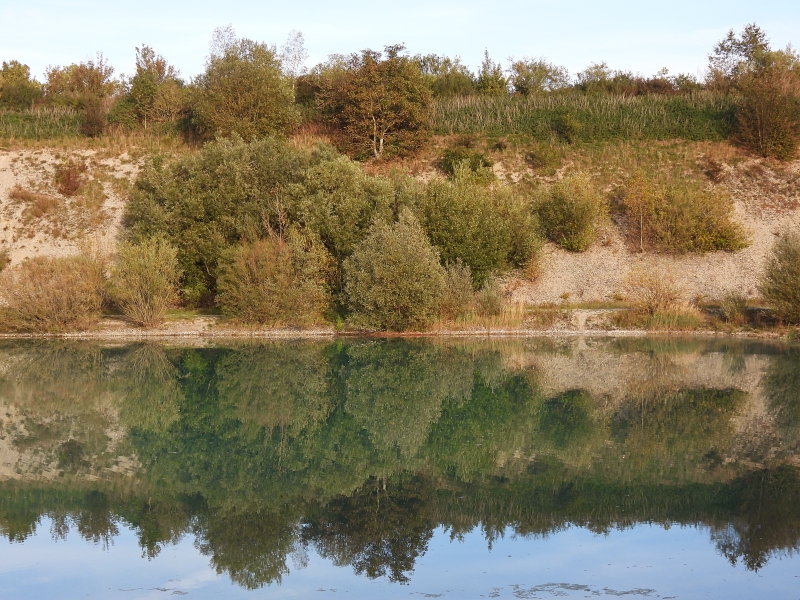 Ufer des Baggersees mit Spiegelung. 