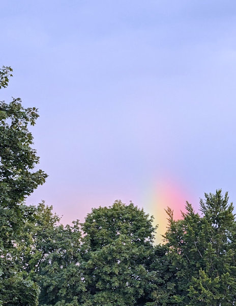 Regenbogen